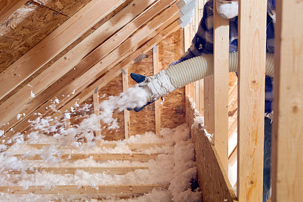 Best Wall Insulation Installation  in Sheridan, IN